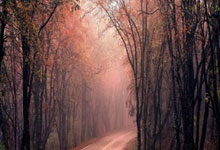 完美体育官网:进球无效!巴顿禁区内抽射破门,VAR介入判罚阿代米越位在先.