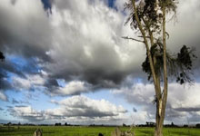 金安网球公开赛:小城大梦,网球赛事的“金安模式”.