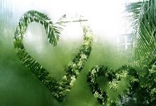 完美体育官网：[CBA]内线魔术师！杨瀚森写意抛投再取两分.