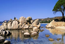 乒乓球最新排名!樊振东、孙颖莎分别排名世界第一北京日报客户端.